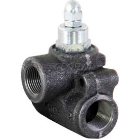 In-Line Relief Valve, 1" NPT, 30 GPM