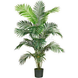 6' Paradise Palm Silk Tree