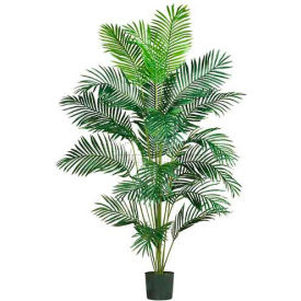 7' Paradise Palm Silk Tree