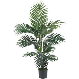 4' Kentia Palm Silk Tree