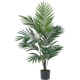 5' Kentia Palm Silk Tree