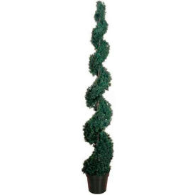 6' Cedar Spiral Silk Tree (Indoor/Outdoor)