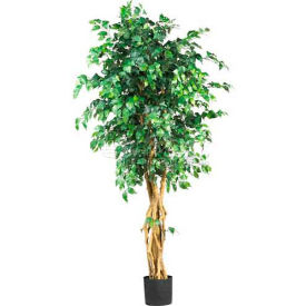 6' Palace Style Ficus Silk Tree