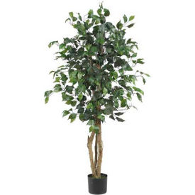 4' Ficus Silk Tree with Round Pot, Green