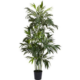 6' Bamboo Palm Silk Tree, Green
