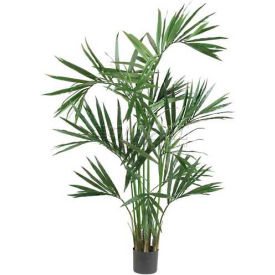 6' Kentia Palm Silk Tree, Green