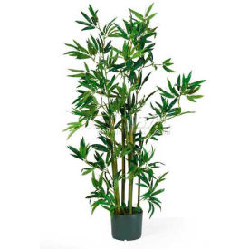4' Bamboo Silk Plant