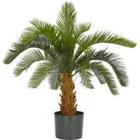 in Green - Set of 2