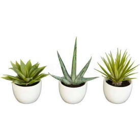 Southwest Collection (Set of 3)