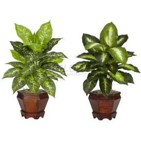Dieffenbachia with Wood Vase Silk Plant (Set of 2), Assorted