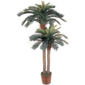 6' & 4' Sago Palm Double Potted Silk Tree