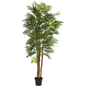 6' Bella Palm Silk Tree