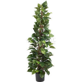 63'' Pothos Climbing Silk Plant