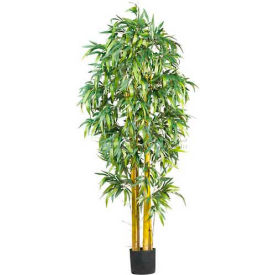 6' Big Bamboo Silk Tree