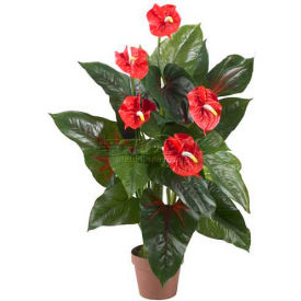 3' Anthurium Silk Plant