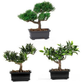 8.5'' Bonsai Silk Plant Collection (Set of 3)