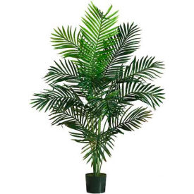 5' Paradise Palm Silk Tree