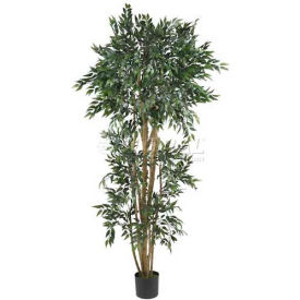 6' Green Ash Silk Tree