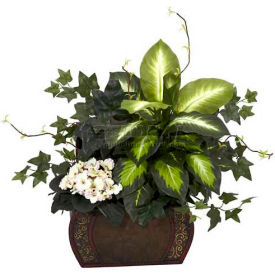 African Violet, Dieffenbachia & Ivy with Chest Silk Plant