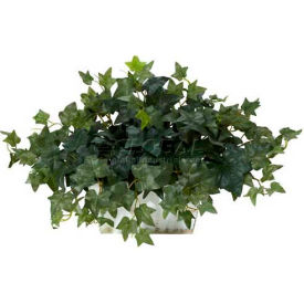 Ivy with White Wash Planter Silk Plant