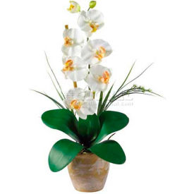 Phalaenopsis Silk Orchid Flower Arrangement, Cream