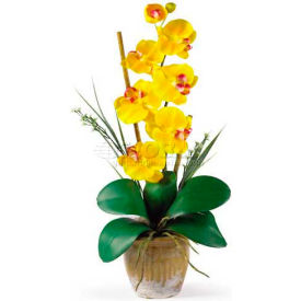 Nearly Natural Phalaenopsis Silk Orchid Flower Arrangement, Yellow
