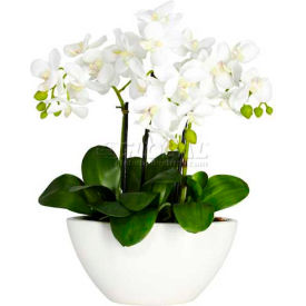 Phalaenopsis Silk Flower Arrangement