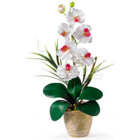 Phalaenopsis Silk Orchid Flower Arrangement, White