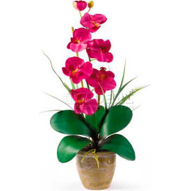Phalaenopsis Silk Orchid Flower Arrangement, Beauty