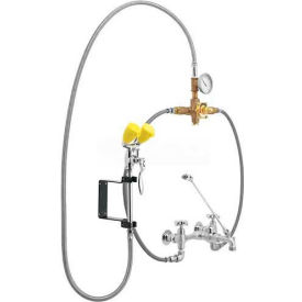 Eyesaver Service Sink Faucet with Thermostatic Mixing Valve, Chrome & Yellow