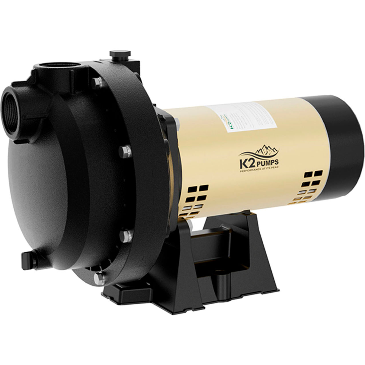 1.5 HP Thermoplastic Sprinkler Pump, 47 GPM
