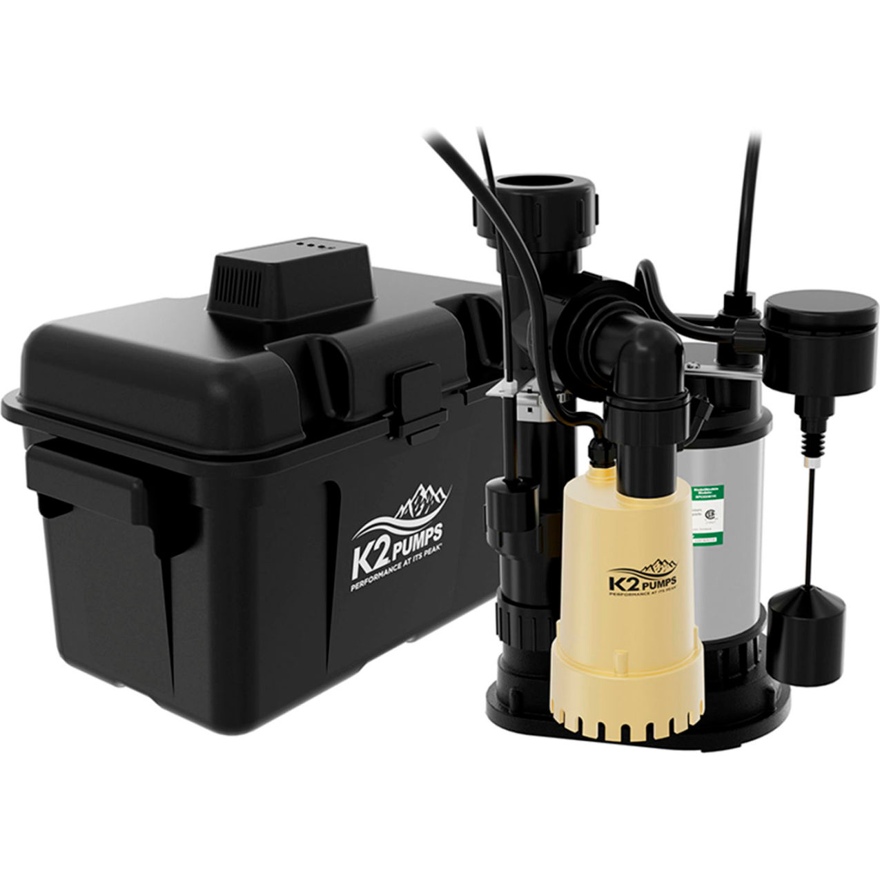1/3 HP The Sump Bunch Compact Pump System