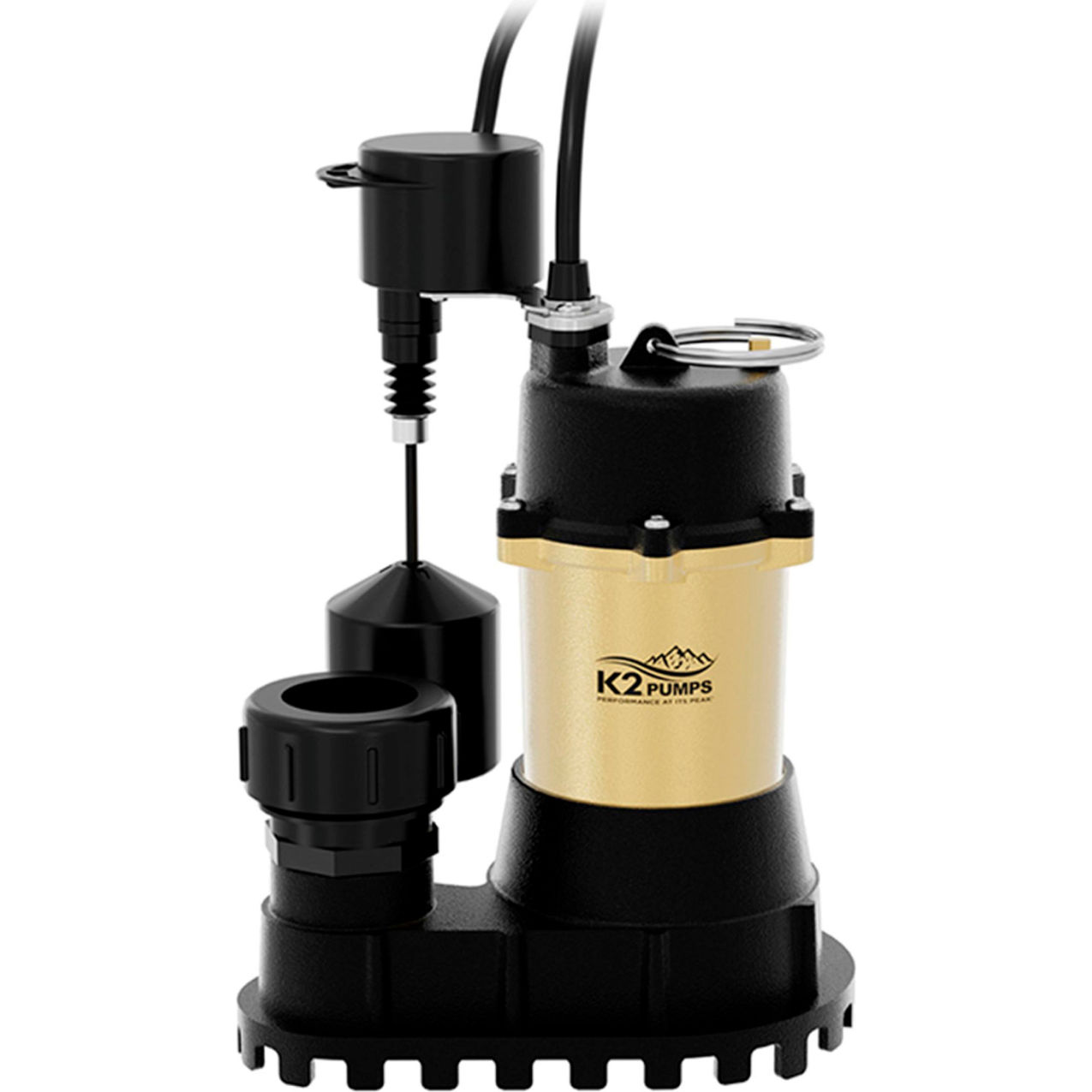 1/3 HP Vertical Sump with Quick Connect
