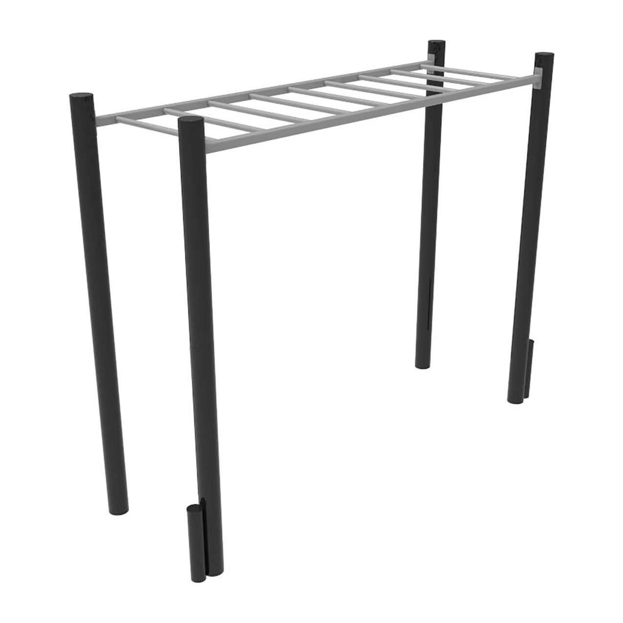 ActionFit Overhead Ladder, Black