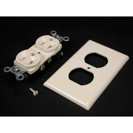 Dplx Recpt. & Plate, 20a, Spec Grade, 5352 Series, Thermoplastic, Ivory