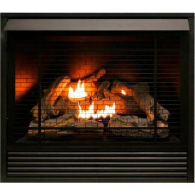 Dual Fuel Ventless Gas Fireplace Insert, 32000 BTU, Remote Control, FDI32R