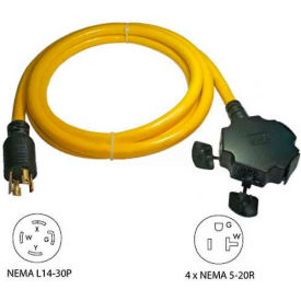 Generator Power Cord with NEMA L14-30P to 5-15/20R, 30A, 10'
