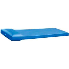 Standard Correctional Tech Mattress - Blue - 4.5" x 30" x 75" with Pillows