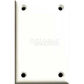 High Security Single Blank Cover Plate, W/Hardware 1/Pack