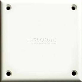 High Security Double Blank Cover Plate, W/Hardware1/Pack