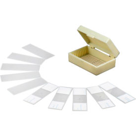 10 pc. Prepared & Blank Microscope Glass Slides