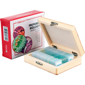 25 pc. Glass Prepared Microscope Slides with Wooden Box
