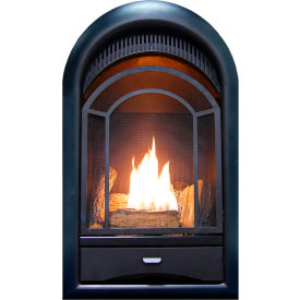 Dual Fuel Ventless Gas Fireplace Insert, Arched Door, 10000 BTU, T-Stat Control