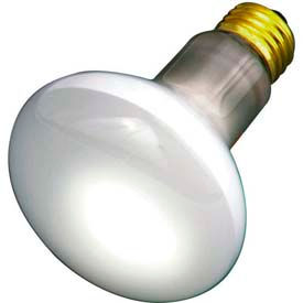 30w Incandescent W/ Medium Base, 130v Bulb