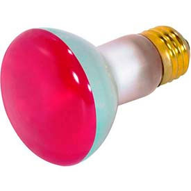 50W Incandescent Bulb with Medium Base - R20