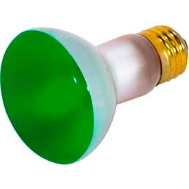 50w Incandescent Bulb with Medium Base