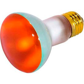 50W Incandescent Bulb with Medium Base
