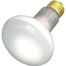 30w Incandescent Bulb with Medium Base, 120v