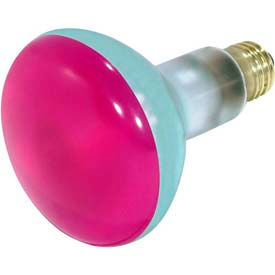 75W Incandescent Bulb with Medium Base