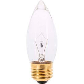 25W Incandescent Bulb with Medium Base, 120V